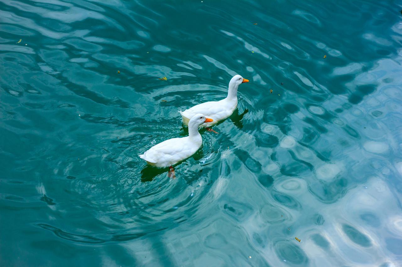 Amiran'S Lake Hotel Tbilisi ภายนอก รูปภาพ